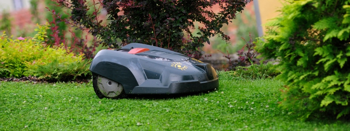 Ranking robotów koszących 2025. Najlepsze kosiarki automatyczne