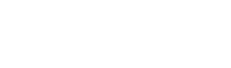 4100ppi