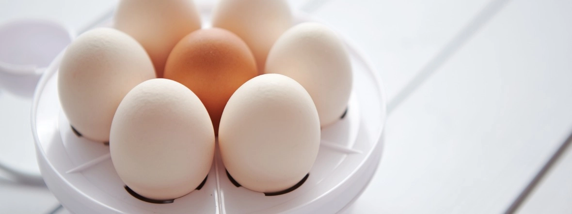 Jajowar &ndash; ranking 2025