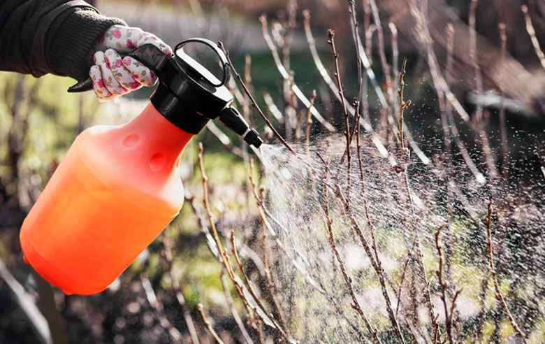 Pryskanie miedzianem – kiedy, jak i co można pryskać?