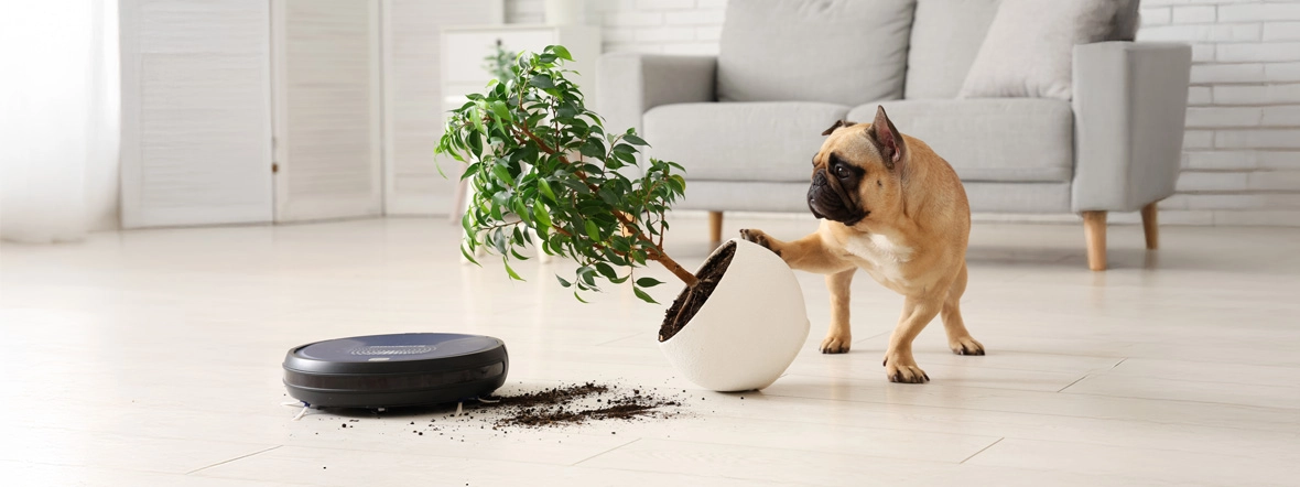 Ranking robot&oacute;w sprzątających do 1000 zł