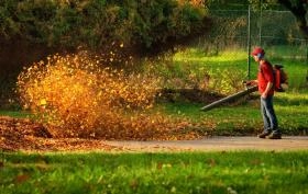 Ranking dmuchaw i odkurzaczy do liści 2025