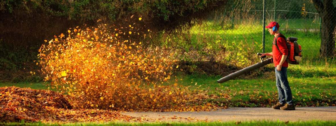 Ranking dmuchaw i odkurzaczy do liści 2025