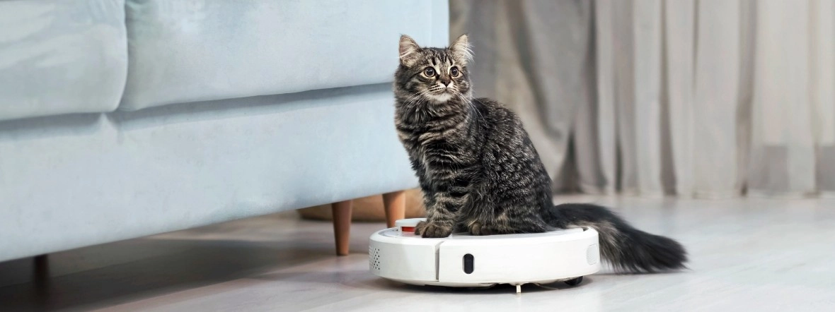 Najlepsze odkurzacze do sierści – ranking 2025