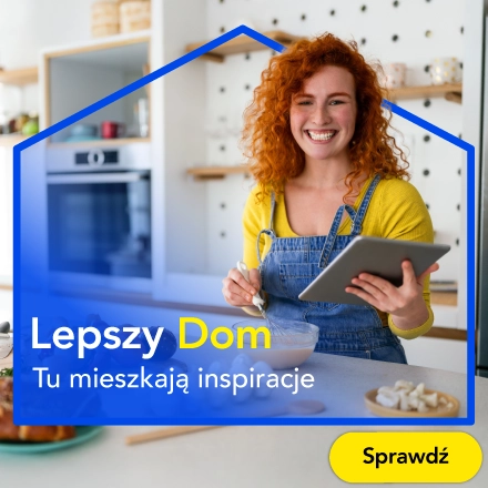 Lepszy Dom