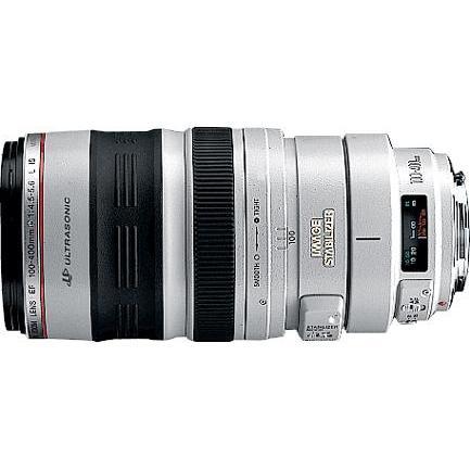 Canon EF 100-400 mm f/4,5 - 5,6 L IS USM