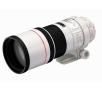Canon EF 300 mm f/4 L IS USM