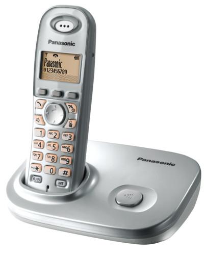 Panasonic KX-TG7301PDS