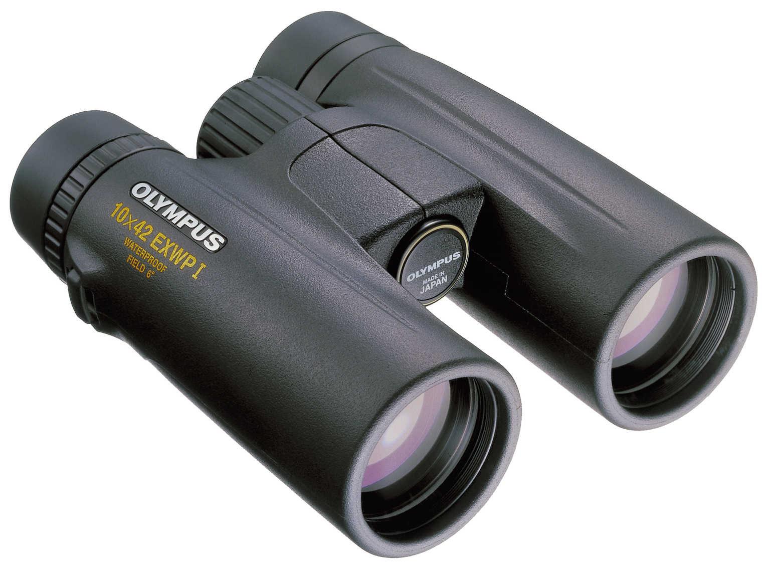 Olympus 10x42 EXWP I