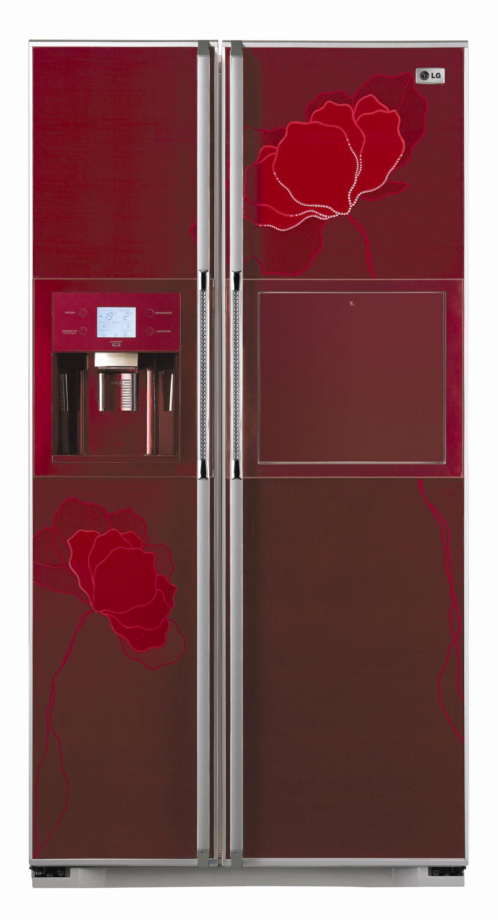 Lodówka LG GR-P217LCAJ