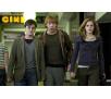 Film Blu-ray Harry Potter i Insygnia Śmierci: Część I BD