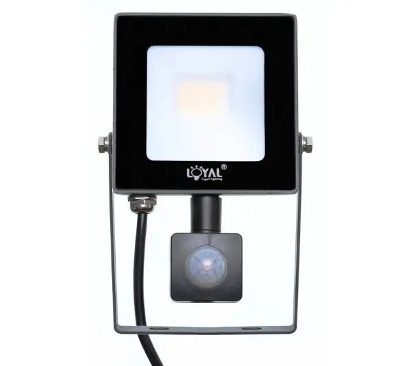 Loyal Lighting LY-FLES20 (S) 2800lm