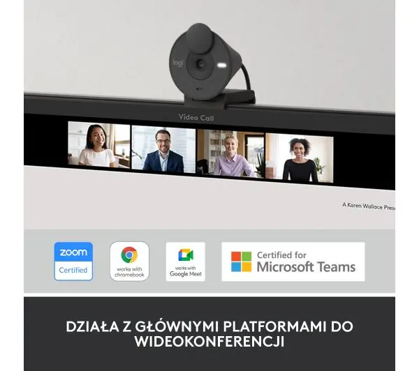 Logitech Brio 300  Grafitowy