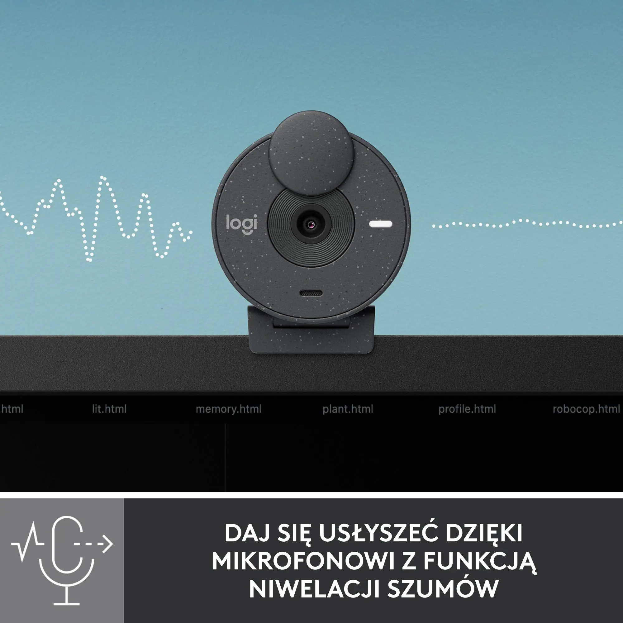 Kamera internetowa Logitech Brio 300  Grafitowy