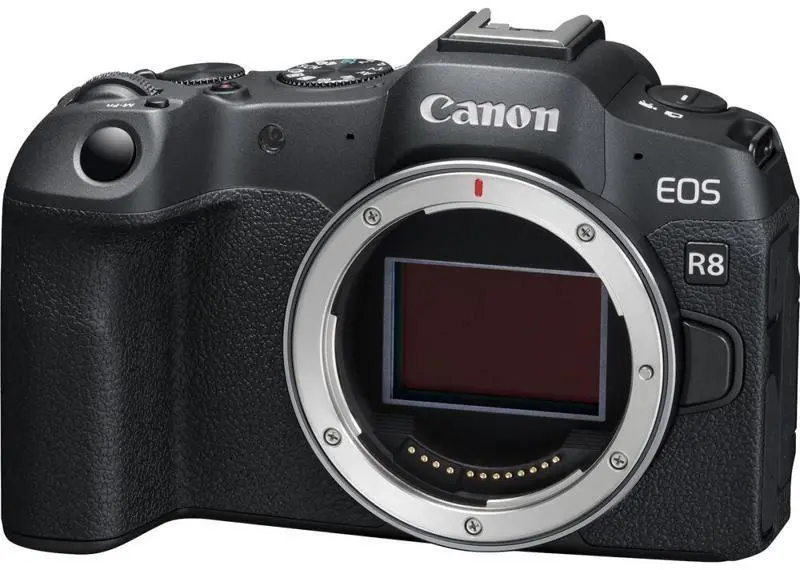 Canon RF 24-50mm f4.5-6.3 IS Review: A Very Useless Lens