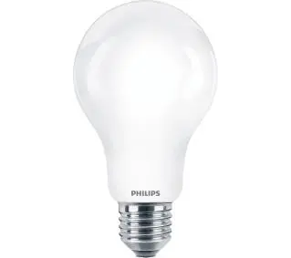 Philips 13W (120W) E27