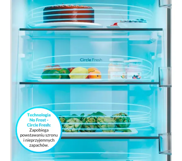 Candy Fresco 300 CNCQ2T620EW Pełny No Frost 205cm Komora świeżości Biały - Kup na Raty - RRSO 0%