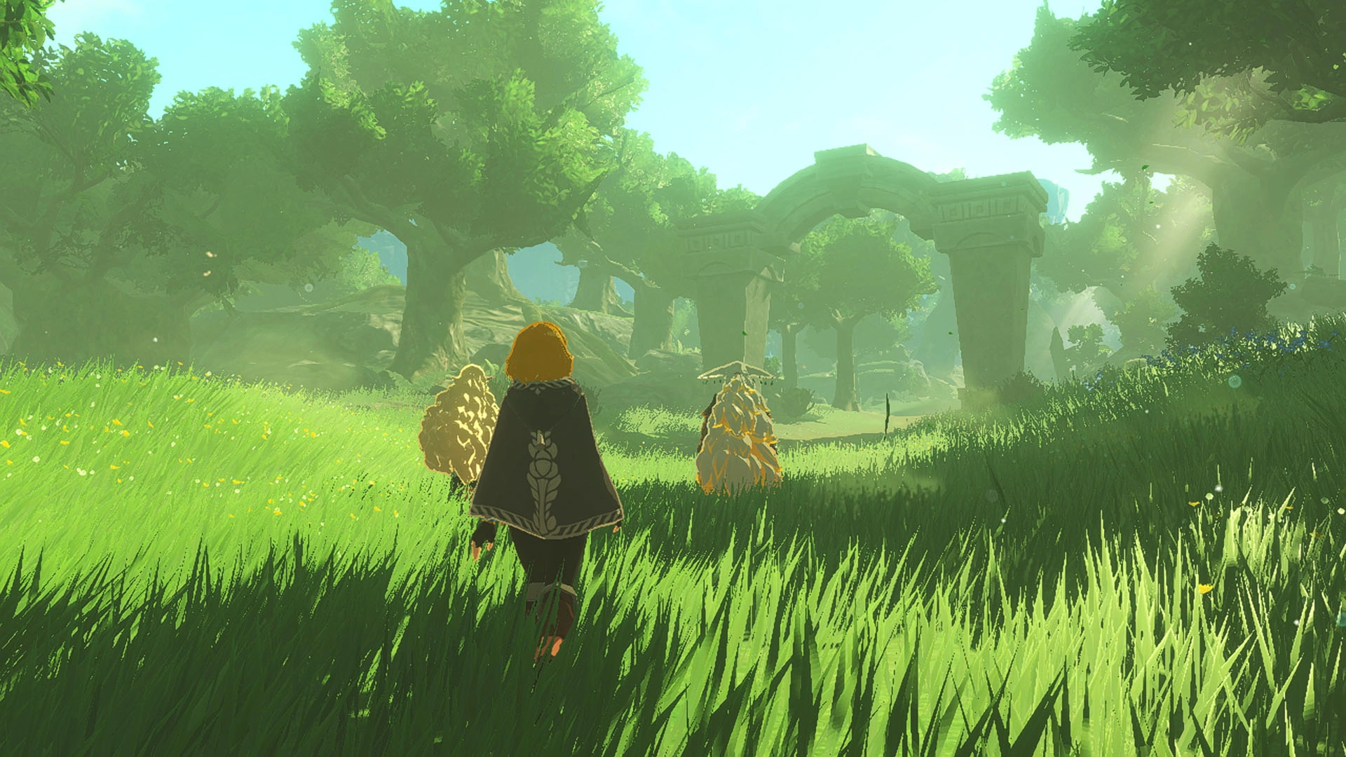 Hyrule Warriors Age of Imprisonment Gra na Nintendo Switch 2