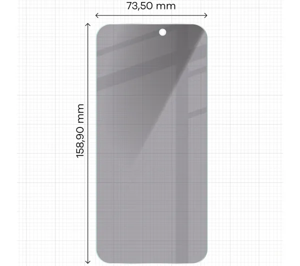 Bizon prywatyzujące Clear Shadow Duo do iPhone 16 Pro Max