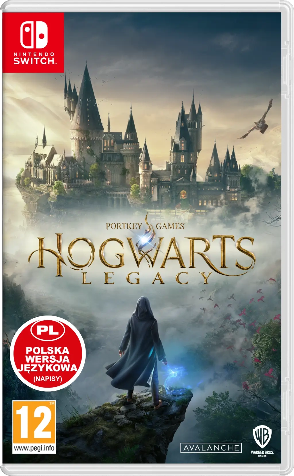 Dziedzictwo Hogwartu (Hogwarts Legacy) Gra na Nintendo Switch