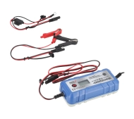 Dedra DEPM019LFP 6/12V 4-120Ah