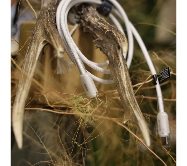 Bizon C354 USB-C do USB-C 60W 1m Biały