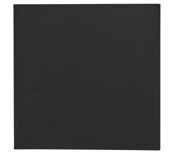 Thermal Grizzly Minus Pad extreme 2 100 x 100 x 0,5mm