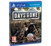 Days Gone Gra na PS4 (Kompatybilna z PS5)