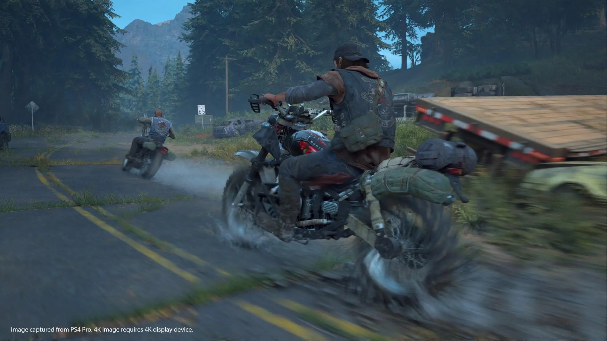 Days Gone Gra na PS4 (Kompatybilna z PS5)