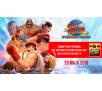 Street Fighter 30th Anniversary Collection Gra na PS4 (Kompatybilna z PS5)