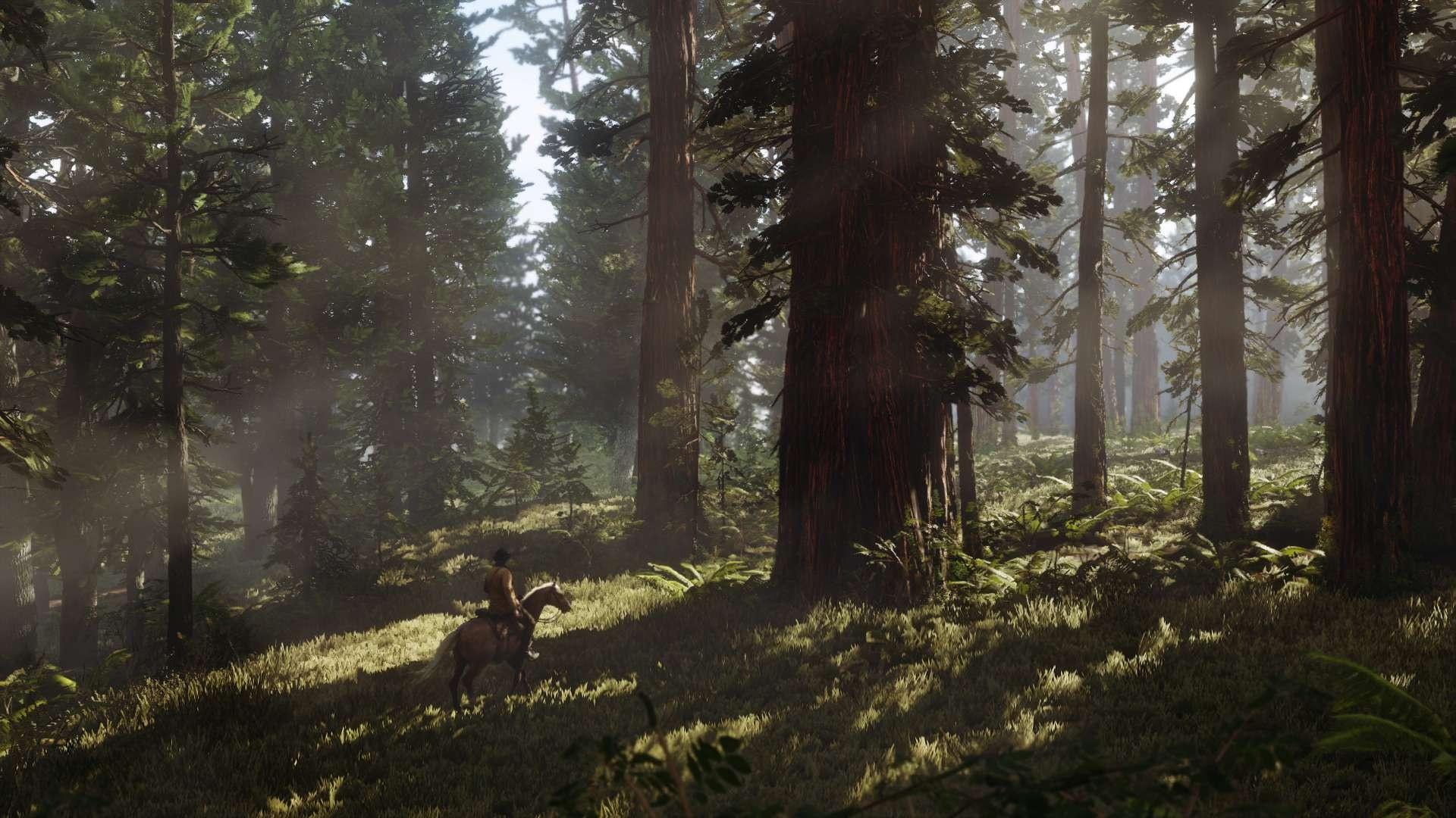 Red Dead Redemption II - Pudełko Kolekcjonerskie (bez gry) PS4 / PS5