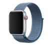 Apple Pasek Sportowy Loop Apple Watch 40mm (szary błękit)