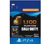 Call of Duty: Black Ops IV - 1100 punktów [kod aktywacyjny] PS4