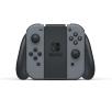 Konsola Nintendo Switch Joy-Con (szary) + Mario Kart 8 Deluxe