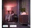 Smart plug Philips Hue Wtyczka Smart