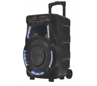 Manta SPK5033 40W Bluetooth Radio FM Mikrofon Karaoke Czarny - Kup na Raty - RRSO 0%