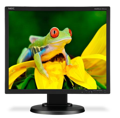 NEC MultiSync EA192M-BK