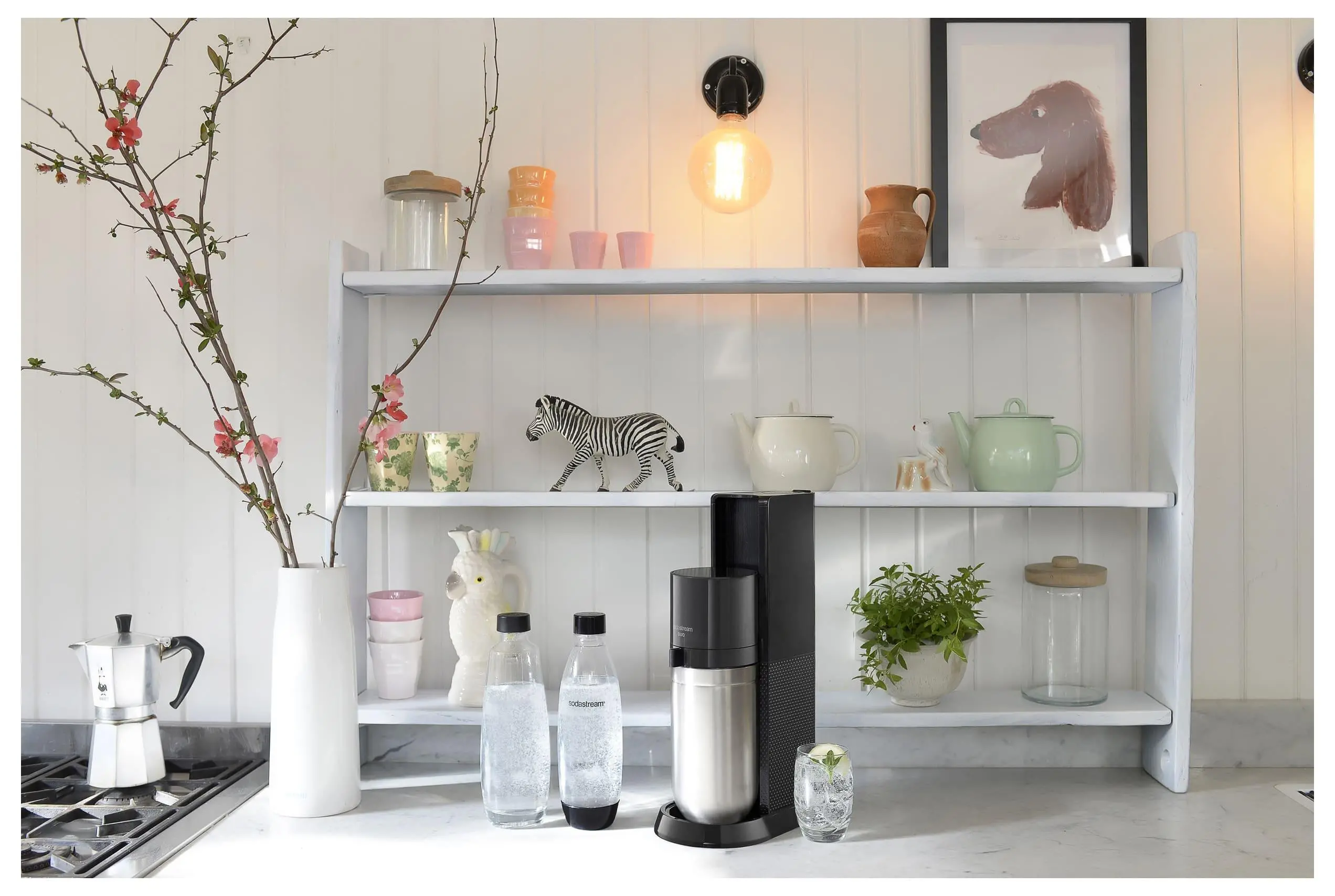Saturator Sodastream Duo Czarny + Nabój z gazem CO2