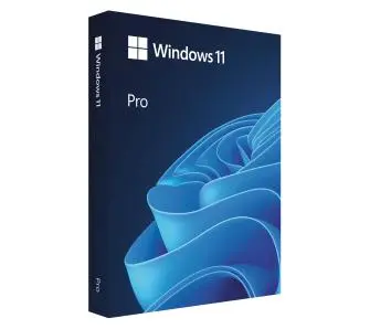 Program Microsoft Windows 11 Pro DVD PL