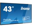 Monitor iiyama LE4340UHS-B1 43" 4K AMVA 60Hz 8ms Profesjonalny
