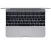 Apple Macbook 12 12,1" Intel® Core™ M-12,1" Intel® Core™ m-5Y31 8GB RAM  256GB Dysk  OSX 10.10