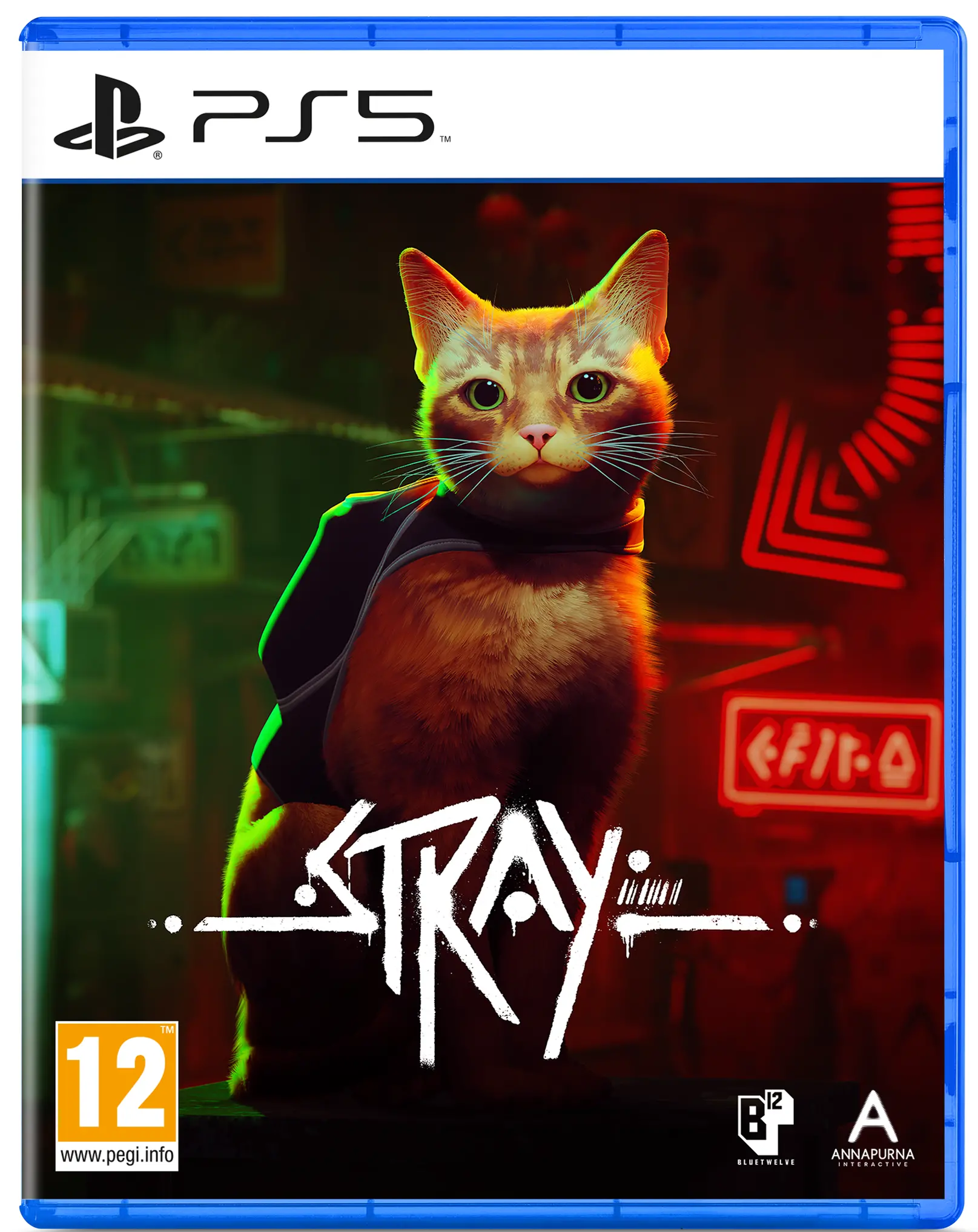 Stray Gra na PS5