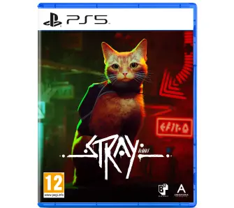 Stray Gra na PS5