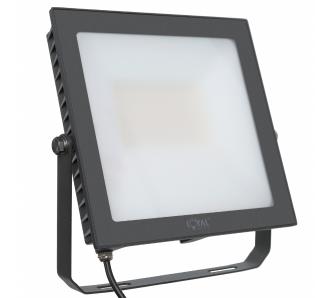 Naświetlacz Loyal Lighting LY-FLE 100 14500lm