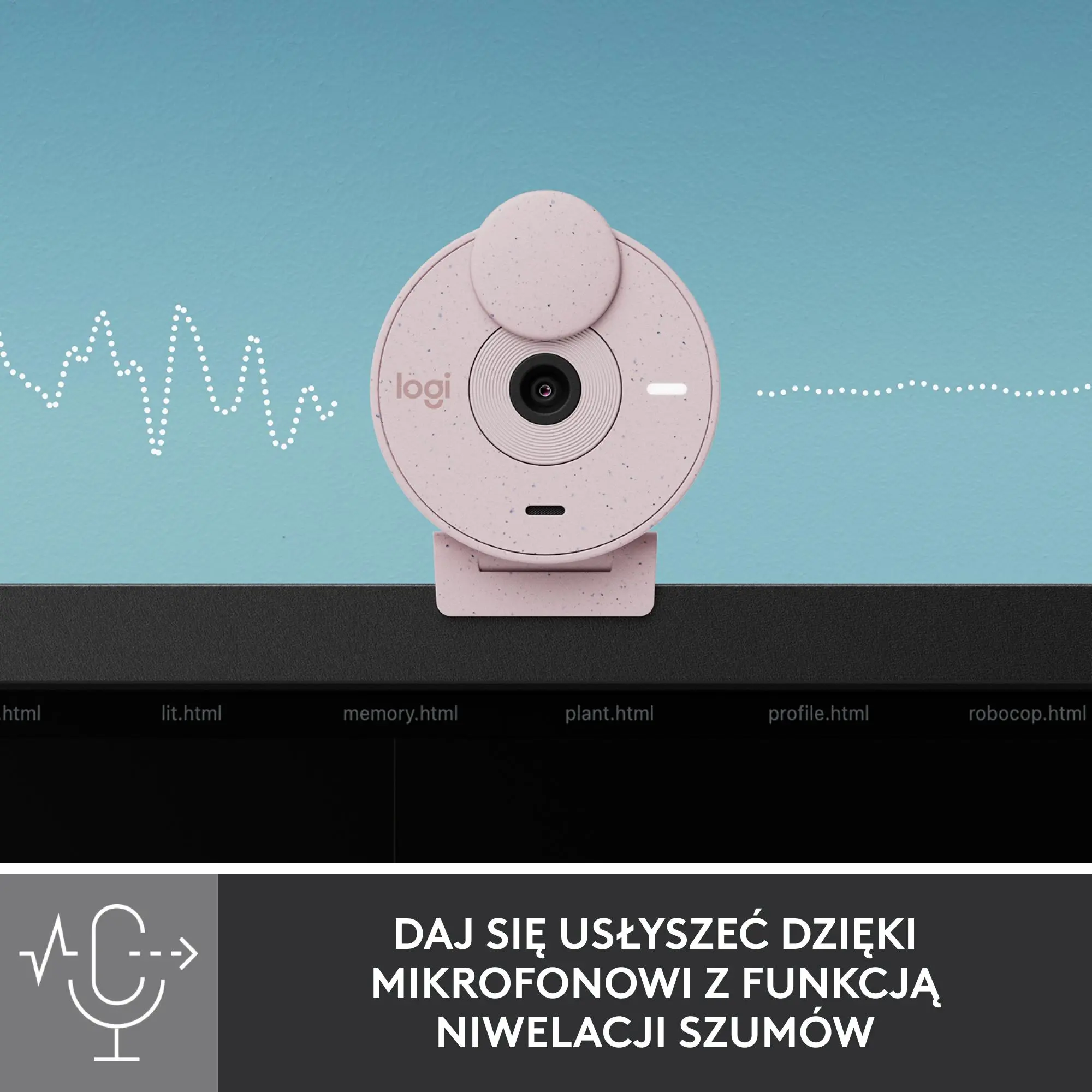 Фото Веб-камера Logitech Brio 300 FHD Rose (960-001448)