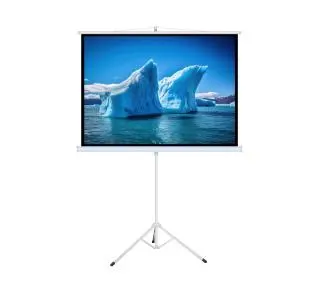 ART ERA T120 4:3 120" 183x244cm - Kup na Raty - RRSO 0%