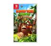 Donkey Kong Country Returns HD Gra na Nintendo Switch