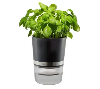 Gefu Botanico G18920