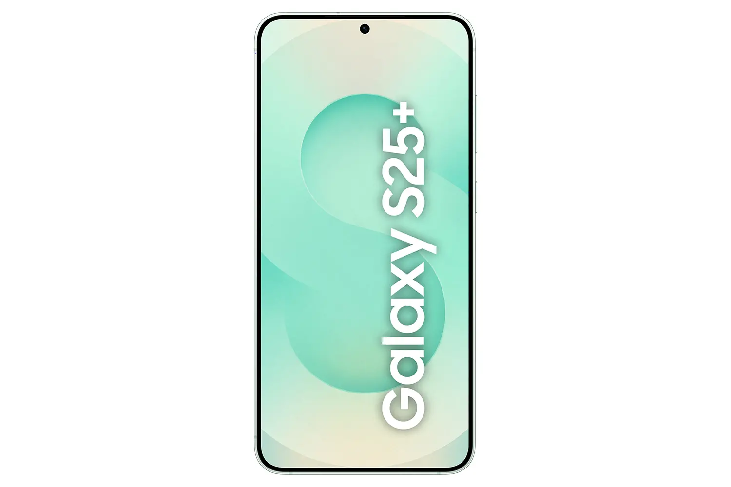 Samsung Galaxy S25+ 12/256GB Zielony SM-S936 - Opinie, Cena