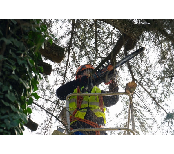 Worx WG385E.9 - Kup na Raty - RRSO 0%
